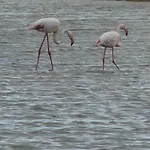 Kasa Blanca * Olhão