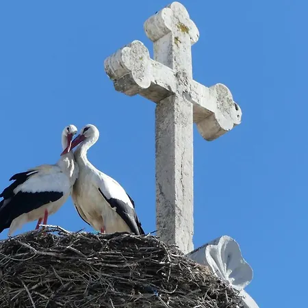 Дом отдыха Kasa Blanca