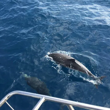 Kasa Blanca Hébergement de vacances *
