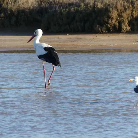 Kasa Blanca Hébergement de vacances Olhão