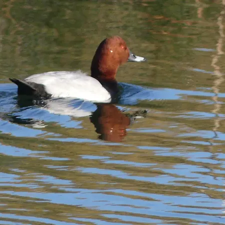 Hébergement de vacances Kasa Blanca