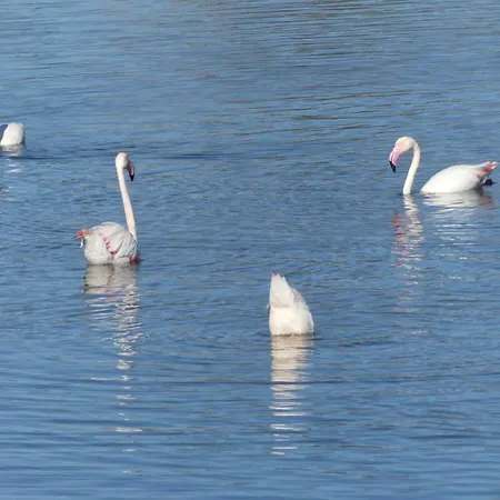 Kasa Blanca Olhao