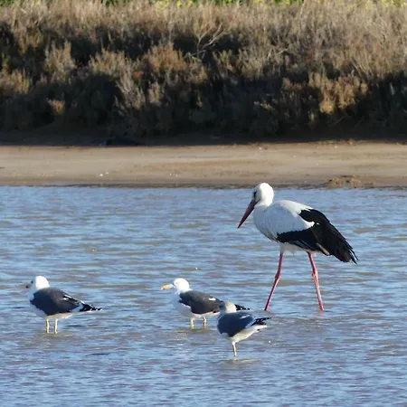 Kasa Blanca * Olhao