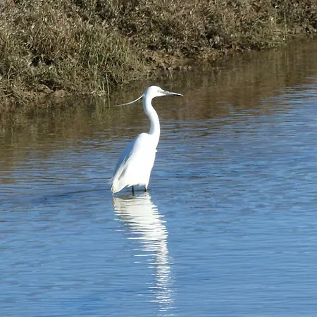 Kasa Blanca Hébergement de vacances
