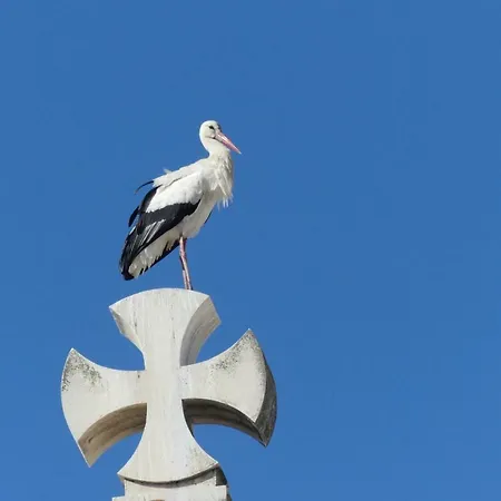 Kasa Blanca