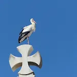 Kasa Blanca