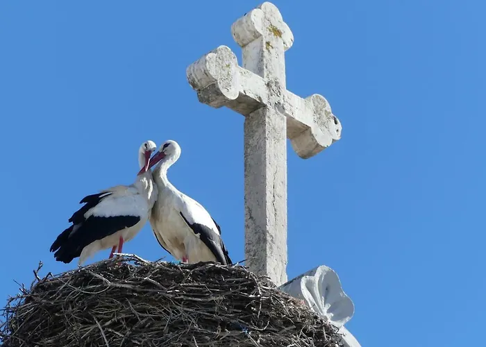 度假居 Kasa Blanca