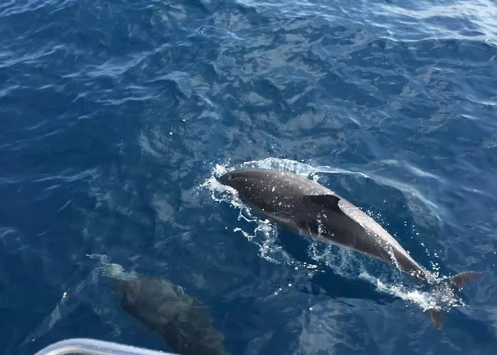 Kasa Blanca 度假居 *